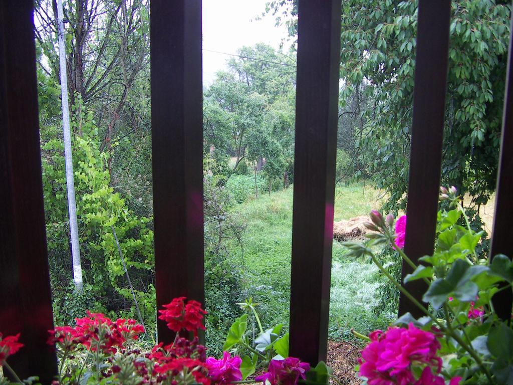 Hotel Rural Casa Ana Vega De Espinareda Экстерьер фото